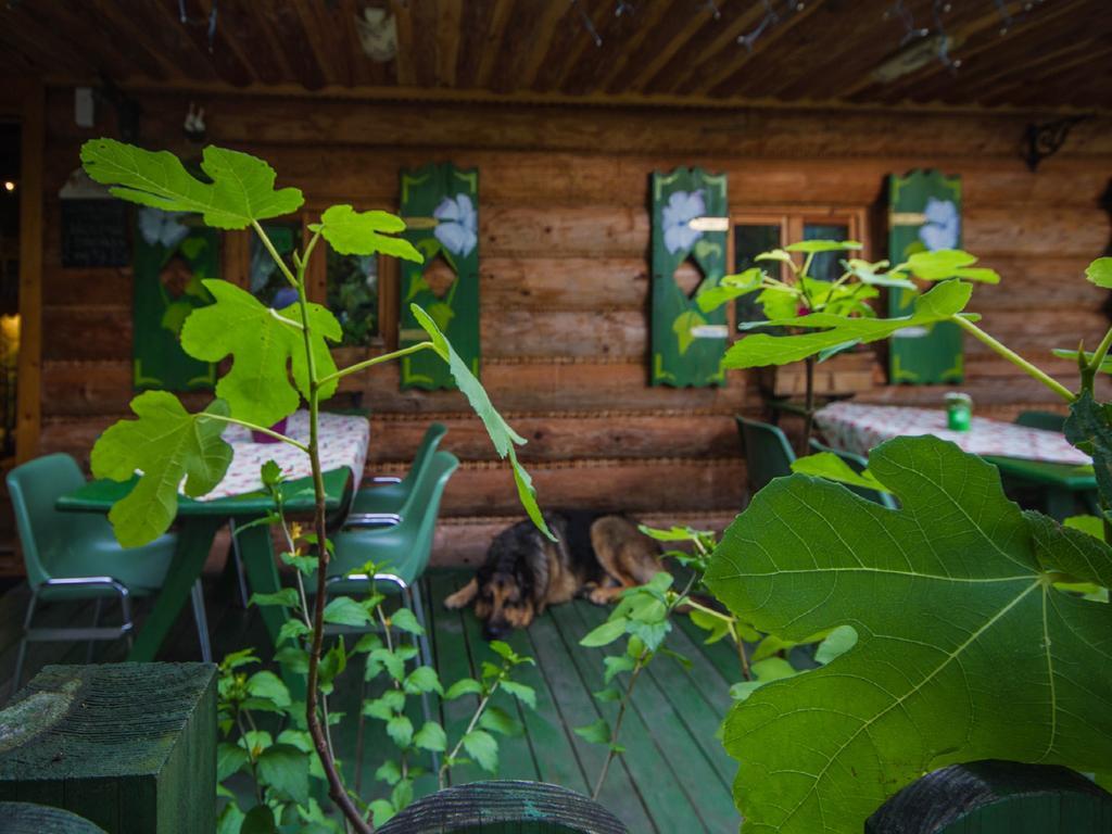 Willa Jagniatkow Bed and Breakfast Buitenkant foto